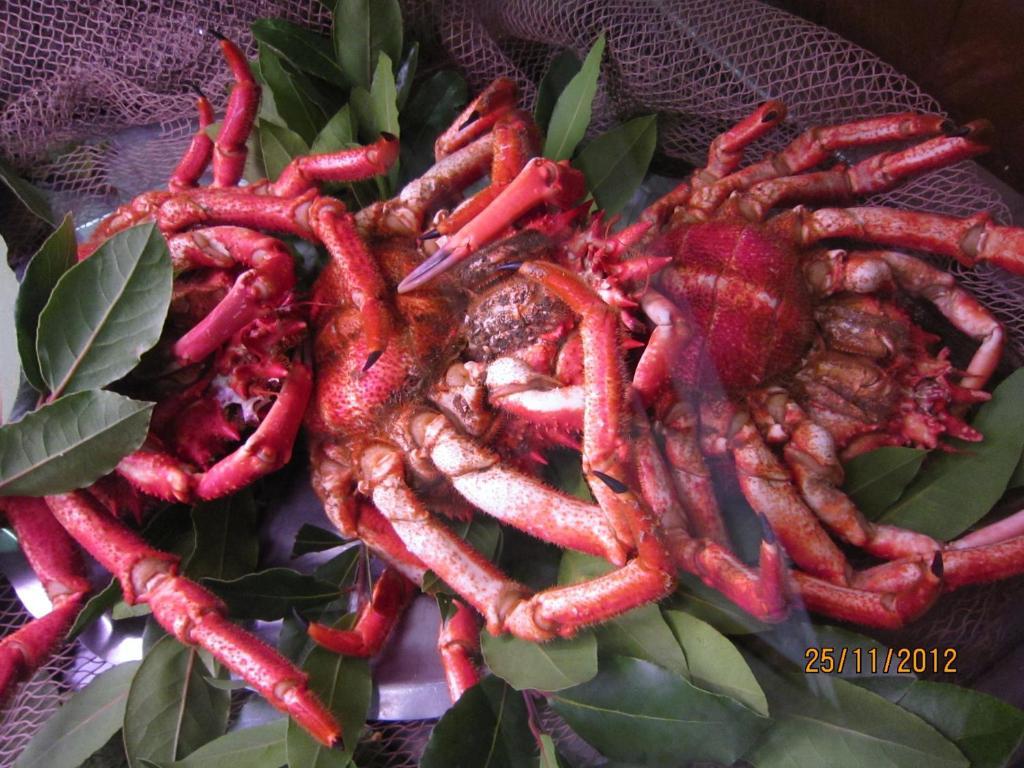 Hotel Santo Apostol Redondela Ngoại thất bức ảnh